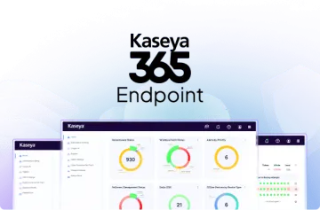 Miniatura Kaseya 365