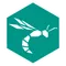 Aqua