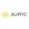 Auryc Software BI