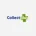 Collectplus Collections