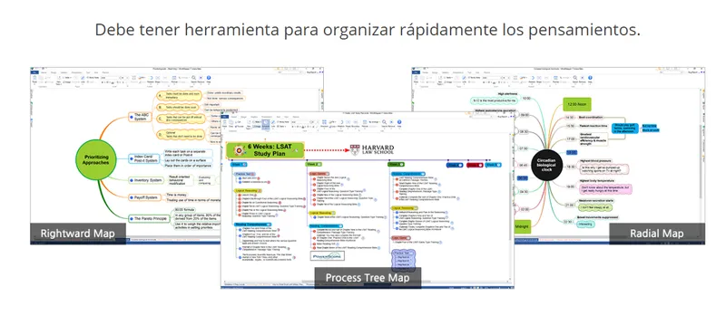 MindMapper Software