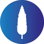 Ciprés logotipo