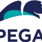Pega Platform Argentina